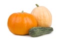 Two pumpkin and marrows. Royalty Free Stock Photo