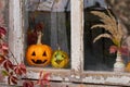 Two pumpkins for Halloween laughing on the windowsill of an old building.