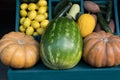 two pumpkins next watermelon shelf fruits vegetables