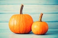 Two pumpkins Royalty Free Stock Photo