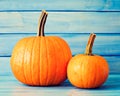 Two pumpkins Royalty Free Stock Photo