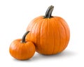 Two pumpkins Royalty Free Stock Photo