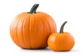 Two pumpkins Royalty Free Stock Photo