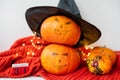 Two pumpkins with a painted face on a red sweater. Holiday concept of October 31, Halloween. Beautiful bokeh on the background