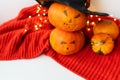 Two pumpkins with a painted face on a red sweater. Holiday concept of October 31, Halloween. Beautiful bokeh on the background