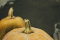 Two pumpkins stand in a row against a gray wall. On a gray background are two ripe pumpkins of orange color. Part of a