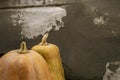 Two pumpkins stand in a row against a gray wall. On a gray background are two ripe pumpkins of orange color. Part of a