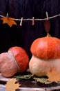 Two pumpkins surrounded by dry leaves Royalty Free Stock Photo