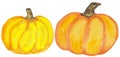 Two pumpkins on a white background. watercolor illustration for the design of prints, cards and posters Royalty Free Stock Photo