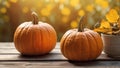 Two pumpkins on wooden table in sunny autumn garden, copy text, banner