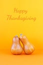 Two pumpkins yellow-orange gradient background greeting card