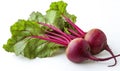 Two purple beets with green leaves Royalty Free Stock Photo