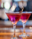 Two Purple Cocktails in Martini Glasses