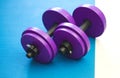 Two purple dumbbells on a green mat. sports accessories