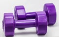 Two Purple dumbbells plastic