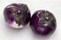 Two purple eggplants with dry leaves Royalty Free Stock Photo