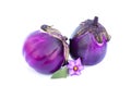 Two purple eggplants isolated on white Royalty Free Stock Photo