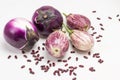 Two purple eggplants and three striped eggplants. Beans on table Royalty Free Stock Photo