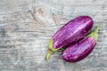Two purple eggplants on the wooden board Royalty Free Stock Photo
