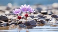two purple flowers are growing out of the water Royalty Free Stock Photo