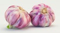 Two purple garlic bulbs on a white background Royalty Free Stock Photo