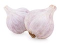Two purple garlic Royalty Free Stock Photo