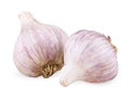 Two purple garlic Royalty Free Stock Photo