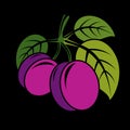 Two purple simple vector plums with green leaves, ripe sweet fruits illustration. Healthy and organic food, harvest season symbol. Royalty Free Stock Photo