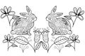 Two rabbits and flowers with abstract ornaments, hand drawn for coloring, drawing isolated, white background, vector for coloring Royalty Free Stock Photo