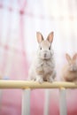 Two rabbits sitting on a white pole in front of pink and blue background, AI Royalty Free Stock Photo