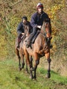Two Racehorses in Training
