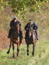 Two Racehorses in Training