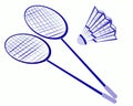 Two rackets and a shuttlecock for playing badminton Royalty Free Stock Photo