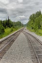 Two railtracks become one in the alaskan wilderness Royalty Free Stock Photo