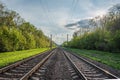 two railway tracks go into green forest Royalty Free Stock Photo