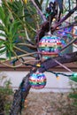 Two Rainbow-mirrored Disco Ball Ornaments Hanging from the Branches of an Oleander Tree which is also Adorned with a String of Royalty Free Stock Photo