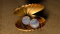 Two rainbow pearls in the gold shell for couple