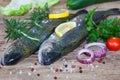 Two rainbow trouts with herbs and peppercorns Royalty Free Stock Photo