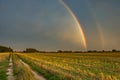 Two rainbows in the cloudy sky, horizon and dirt road in the field Royalty Free Stock Photo