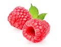 Two raspberry berries with green leaves on white background Royalty Free Stock Photo