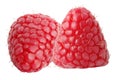 Two raspberry fruits isolated on white background Royalty Free Stock Photo