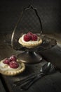 Two raspberry tarts with spoon Royalty Free Stock Photo