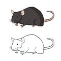 Two rats in simple style. Rat in color on white background. Vector illustration of rats good for design book for children,