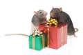 Two rats with wrapped presents