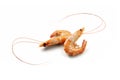 Two raw Argentinian prawns with whiskers Royalty Free Stock Photo