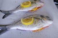 Two raw dorado fish with lemon and herbs close-up on a confectionery paper ready for the oven. Healthy food. Mediterranean cuisine Royalty Free Stock Photo