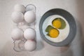 Two raw eggs in a bowl with milk near white eggs in eggshell in egg tray Royalty Free Stock Photo