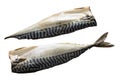 Two raw Fillets of mackerel fish isolated on white background Royalty Free Stock Photo