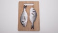 Two raw fish on wooden board on white background. Action. Delicious two butchered fish on board before baking on Royalty Free Stock Photo