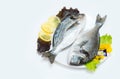 Two raw fresh dorado fish with spices and lemon on a white table. Royalty Free Stock Photo